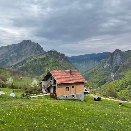 Hotel Family Owned Self Sufficient Eco Farm Tara Pljevlja Exterior foto