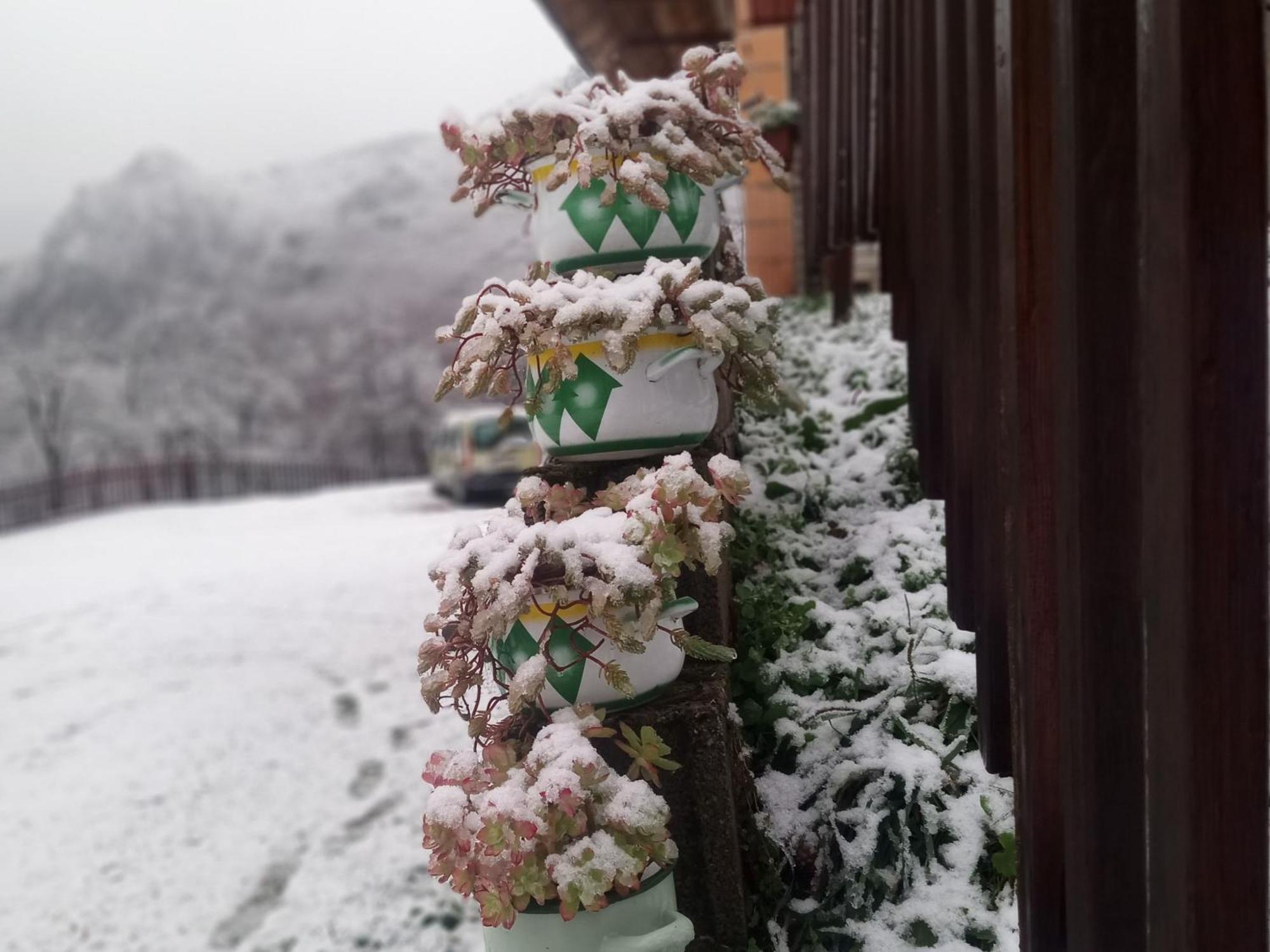 Hotel Family Owned Self Sufficient Eco Farm Tara Pljevlja Exterior foto