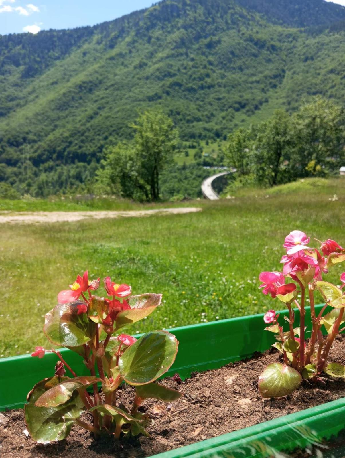 Hotel Family Owned Self Sufficient Eco Farm Tara Pljevlja Exterior foto